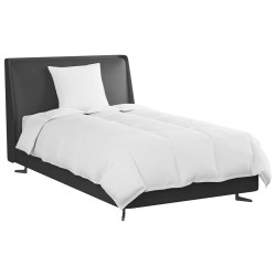 Duvet d'hiver avec oreiller 2 pcs Blanc Plume de canard 545869545869