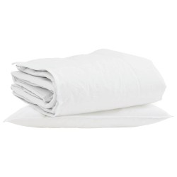 Duvet d'hiver avec oreiller 2 pcs Blanc Plume de canard 545875545875