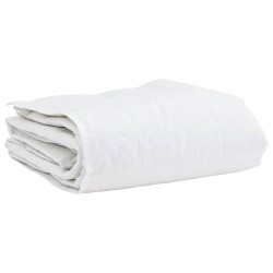 Duvet d'hiver avec oreiller 2 pcs Blanc Plume de canard 545891545891