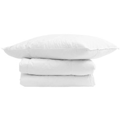 Duvet d'hiver avec oreiller 2 pcs Blanc Plume de canard 545896545896
