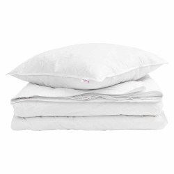 Duvet 2-en-1 avec oreiller 2 pcs Blanc Plume de canard 545904545904