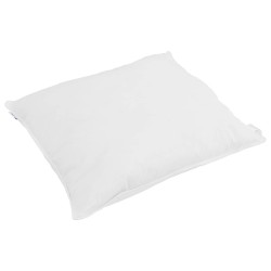 Duvet d'été simple avec oreiller 2 pcs Blanc Plume de canard 545907545907