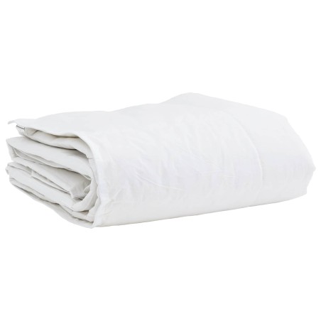 Duvet d'hiver avec oreiller 2 pcs Blanc Plume de canard 545952545952