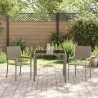Ensemble de salle à manger pour jardin 3 pcs Gris polyrotin 545965545965