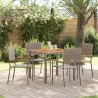 Ensemble de salle à manger pour jardin 5 pcs Gris polyrotin 546024546024