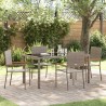 Ensemble de salle à manger pour jardin 5 pcs Gris polyrotin 546065546065