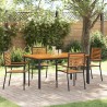 Ensemble de salle à manger pour jardin 5 pcs Noir et Marron 546073546073