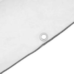 Bâche avec œillets Transparent 4 x 12 m Polyéthylène 546751546751