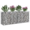 Lit surélevé gabion 2 pcs Argenté 200 x 50 x 80 cm 547532547532