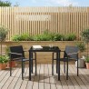 Ensemble de meubles d'extérieur 3 pcs Noir et anthracite 547537547537