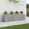 Lit surélevé gabion 2 pcs Argenté 300 x 50 x 80 cm 547548547548