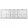 Lit surélevé gabion 2 pcs Argenté 250 x 50 x 80 cm 547566547566