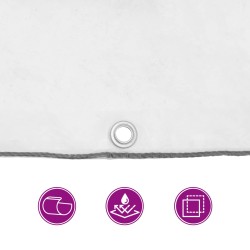 Bâche avec œillets Transparent 5 x 8 m Polyéthylène 547955547955