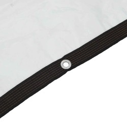 Bâche avec œillets Transparent 5 x 8 m Polyéthylène 547965547965
