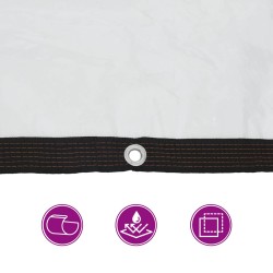 Bâche avec œillets Transparent 2 x 12 m Polyéthylène 547968547968