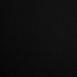 Lit pour chien noir 70x45x28 cm similicuir 548309548309