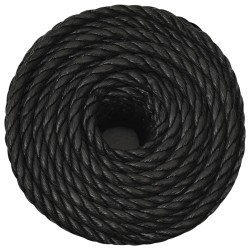 Corde de travail Noir 24 mm 100 m polypropylène 548416548416