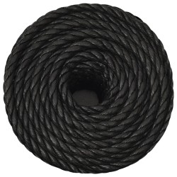 Corde de travail Noir 20 mm 25 m polypropylène 548441548441