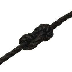 Corde de travail Noir 20 mm 25 m polypropylène 548441548441