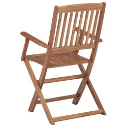 Chaises pliables de jardin lot de 2 avec coussins Bois d'acacia 548599548599