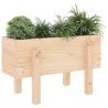 Jardinière 62x30x38 cm bois massif de pin 548647548647