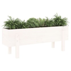 Lit surélevé de jardin blanc 101x30x38 cm bois de pin massif 548678548678