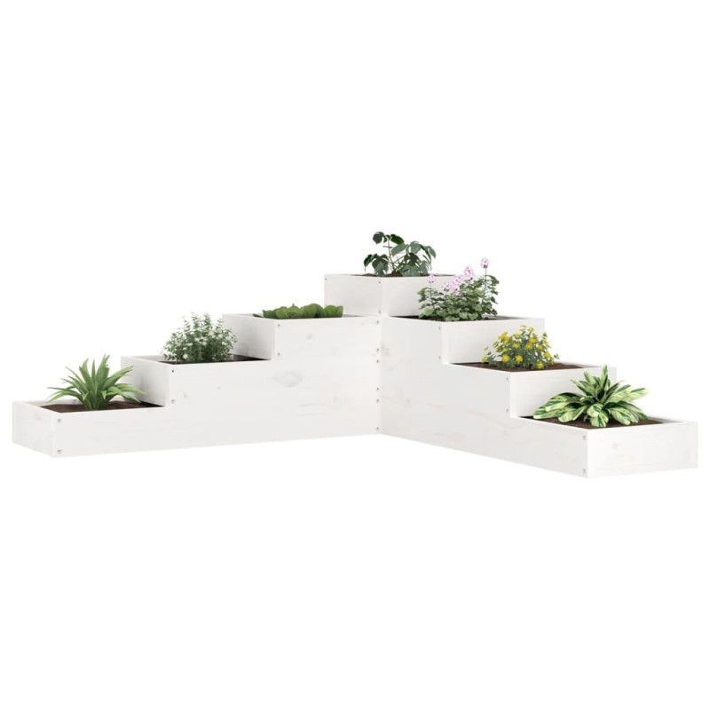 Jardinière 4 niveaux 106x104,5x36 cm blanc bois de pin massif 548728548728