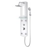 Panneau de douche 25x43x110 cm Argenté 548795548795