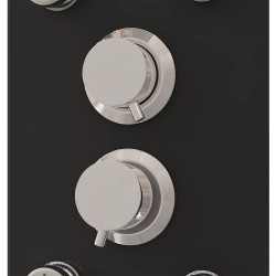 Panneau de douche Verre 25x47,5x130 cm Noir 548796548796