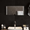 Miroir de salle de bain à LED 60x30 cm 548860548860