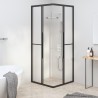 Cabine de douche ESG dépoli 80x80x180 cm Noir 548879548879