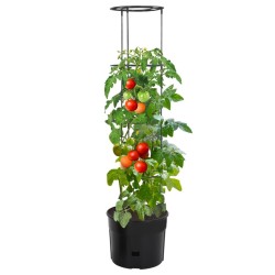 Jardinière à tomate Anthracite Ø39x150 cm Polypropylène 548925548925