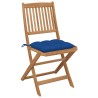 Chaises pliables de jardin lot de 4 avec coussins Bois d'acacia 549040549040
