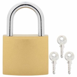 U Lock avec Clés 2 pcs Laiton Fer 549401549401