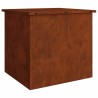 Boîte de Rangement Extérieure Rouillé 55 x 50,5 x 50 cm Acier 549551549551