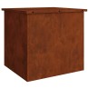 Boîte de Rangement Extérieure Rouillé 55 x 50,5 x 50 cm Acier 549551549551