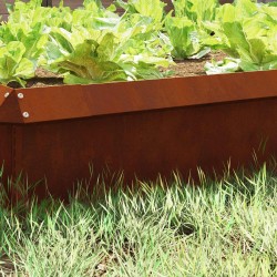 Clôture à escargots 4 pcs Rouillé 50 x 3,5 x 25 cm 549852549852