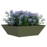 Cache-pot de jardin Vert olive 50 x 50 x 15 cm 549896549896