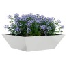 Cache-pot de jardin 5 pcs Argent 50 x 50 x 15 cm 549946549946