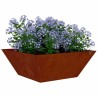 Cache-pot de jardin Rouillé 40 x 40 x 15 cm Acier patiné 549975549975