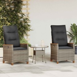 Chaise de jardin inclinable Gris et Gris foncé polyrotin 550095550095