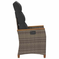 Chaise de jardin inclinable Gris et Gris foncé polyrotin 550095550095