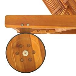 Chaise longue de jardin 2 places avec coussins Acacia solide 550529550529