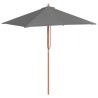 Parasol d'extérieur avec mât en bois 150x200 cm anthracite 550664550664