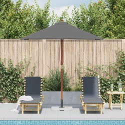 Parasol d'extérieur avec mât en bois 150x200 cm anthracite 550664550664