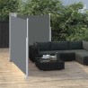 Auvent latéral double rétractable de patio 170x600cm Anthracite 551077551077