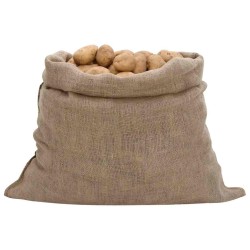 Sacs en jute 10 pcs 100x110 cm 100 % jute 220 g/m² 551306551306