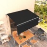 Auvent manuel rétractable avec store 3x2,5 m Anthracite   551413551413