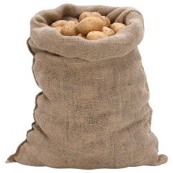 Sacs en jute 5 pièces 60x105 cm 100 % jute 220 g/m² 551445551445