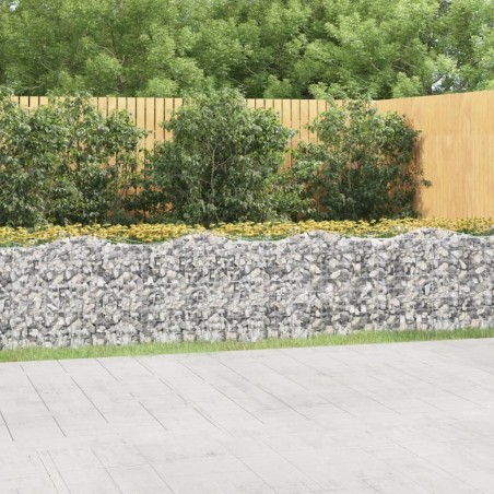 Lit surélevé à gabions arqué 600x50x100 cm Fer galvanisé 551528551528